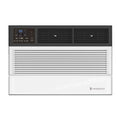 Window Air Conditioner U3921