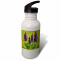 21 oz Sports Water Bottle D9308