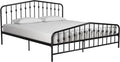 King Size Blue Metal Bed with Headboard and Footboard R777