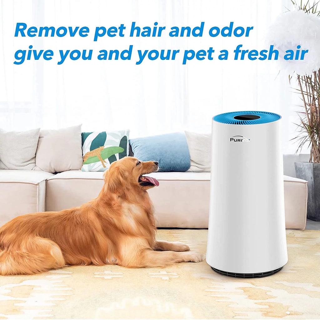 H13 True HEPA Air Purifier with Sleep Mode I7285