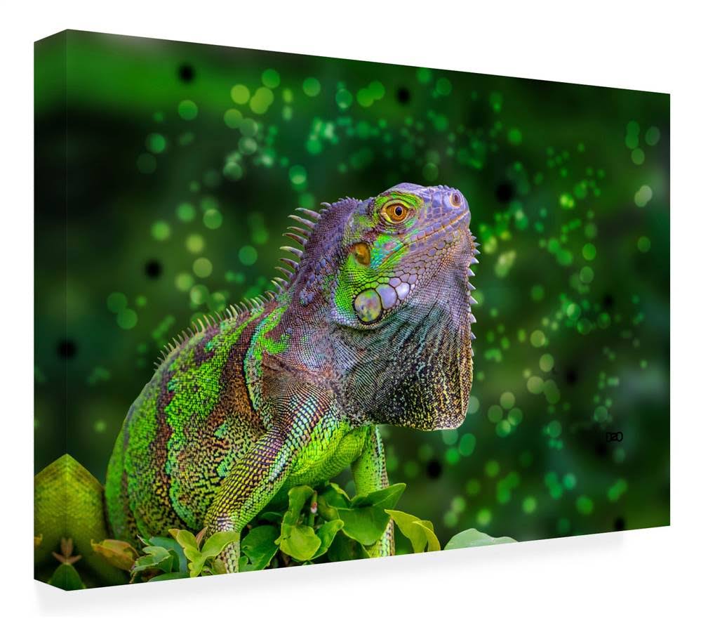 Canvas Art U3020