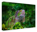 Canvas Art U3020