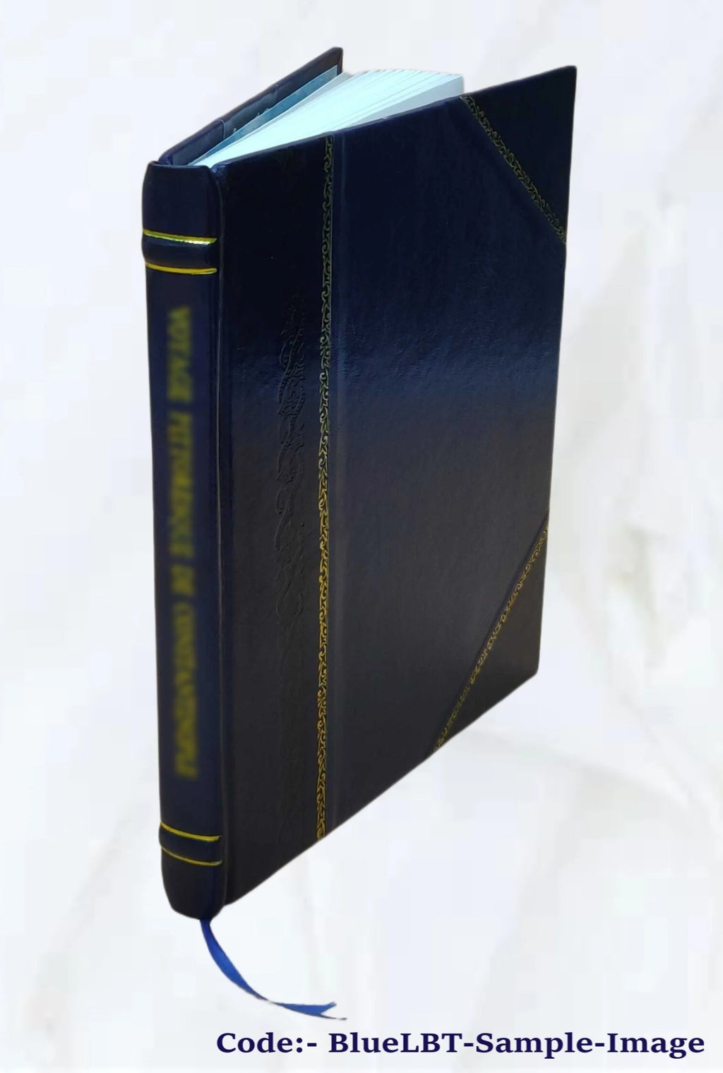 Leather Bound Book Z4973