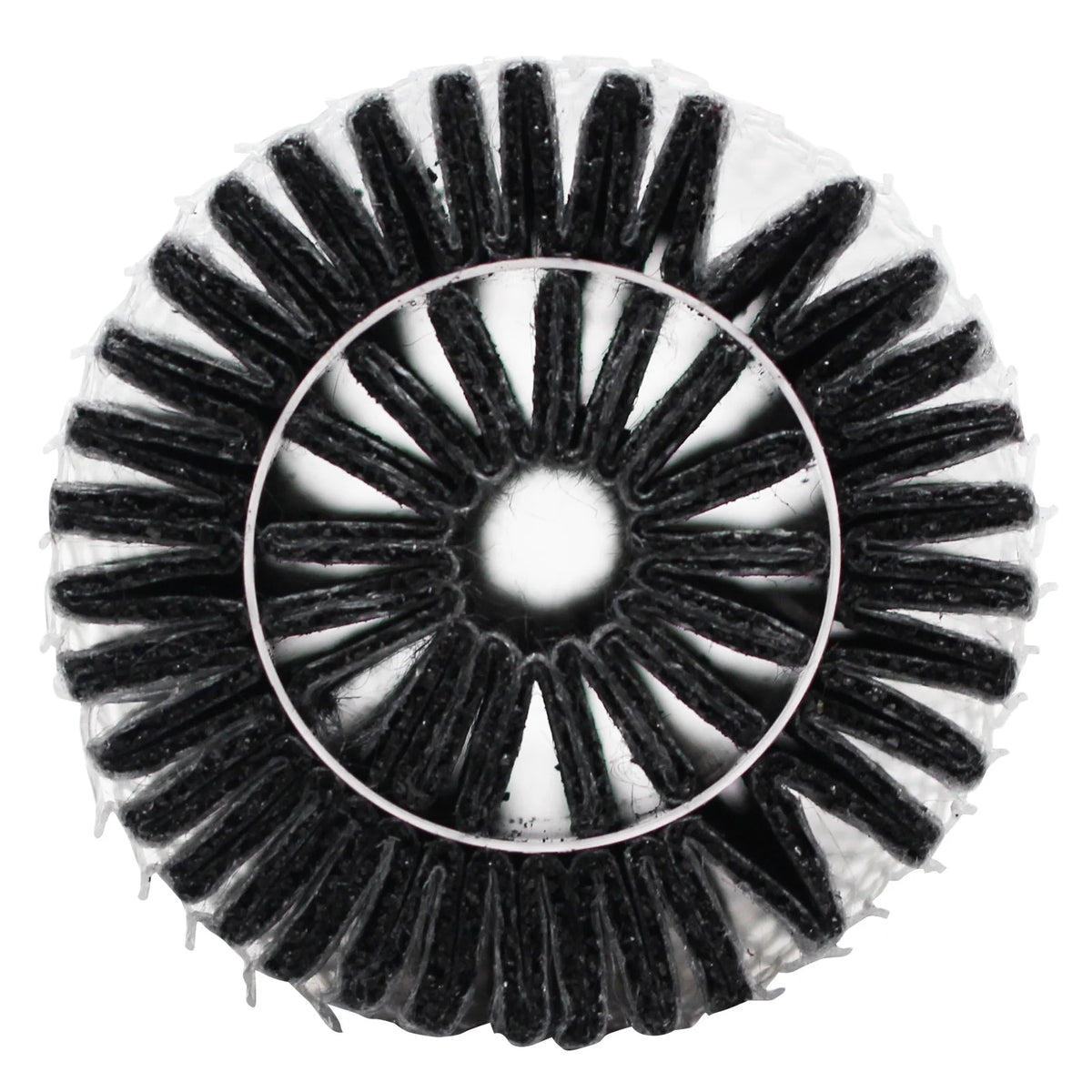 8-Pack Refrigerator Air Filter W303089