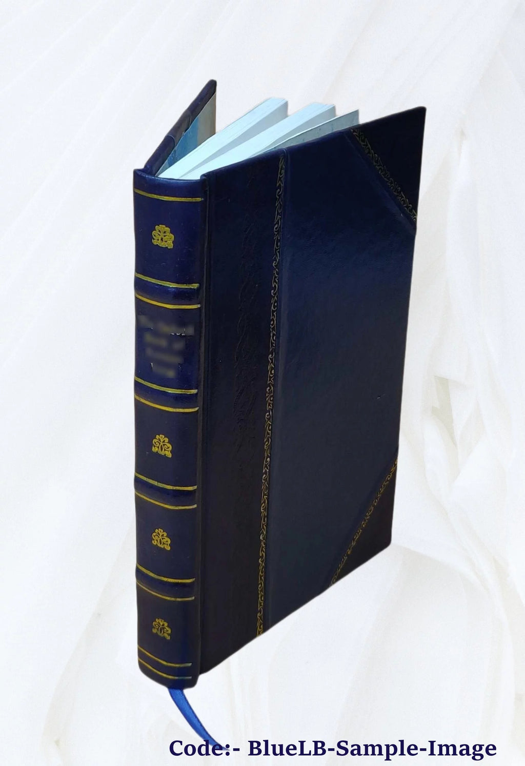 19th Century Works and Men Volume 13 Leather Bound T6637