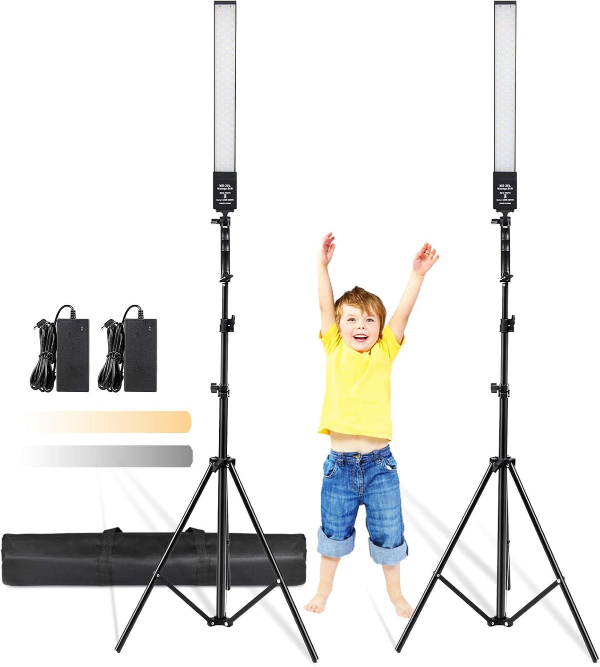 24W 2 Pack Bi-Color LED Video Light Kit with Tripod Stand N3287