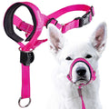 Dog Head Halter with Safety Strap W58488