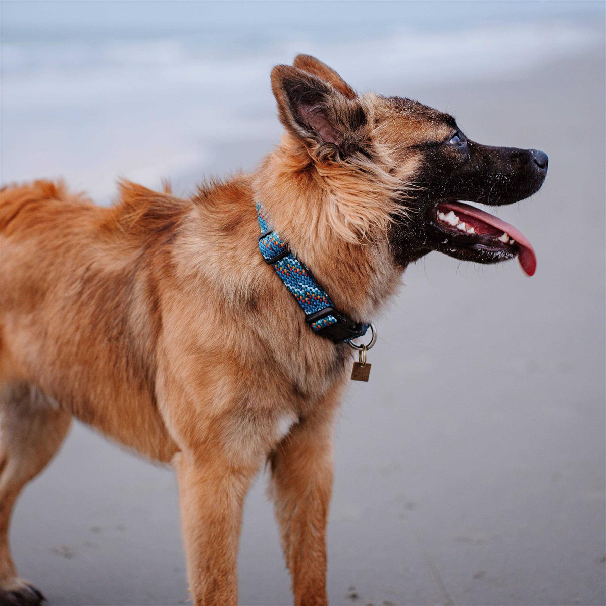 Rope Collar Z255709