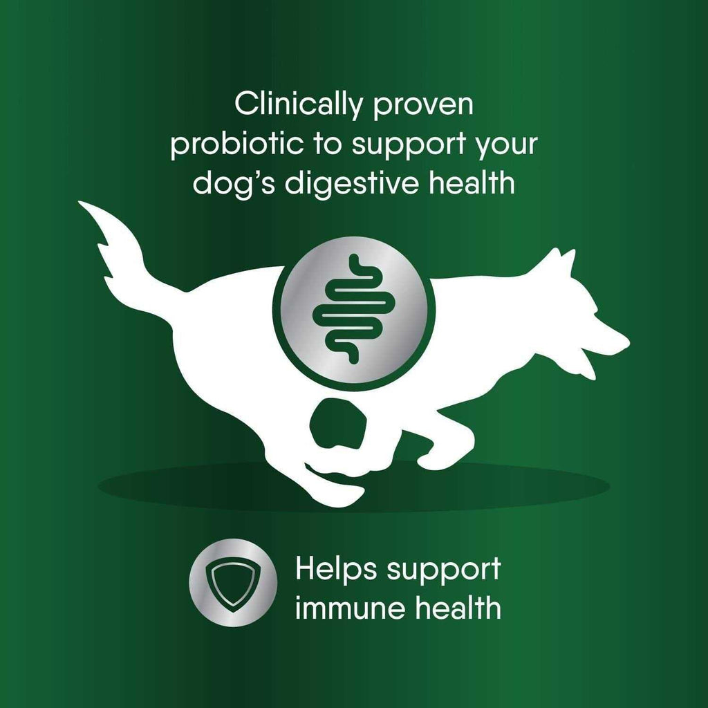 Probiotic Supplement Powder for Dogs V962