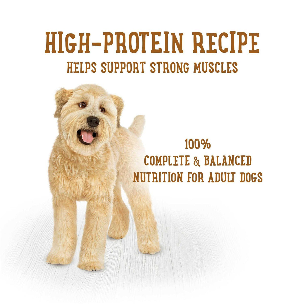 Savory Rice & Lamb Stew Wet Dog Food V10901