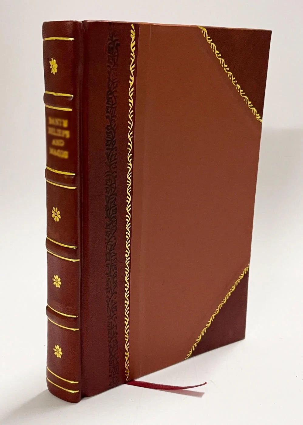 Leather Bound Book C981