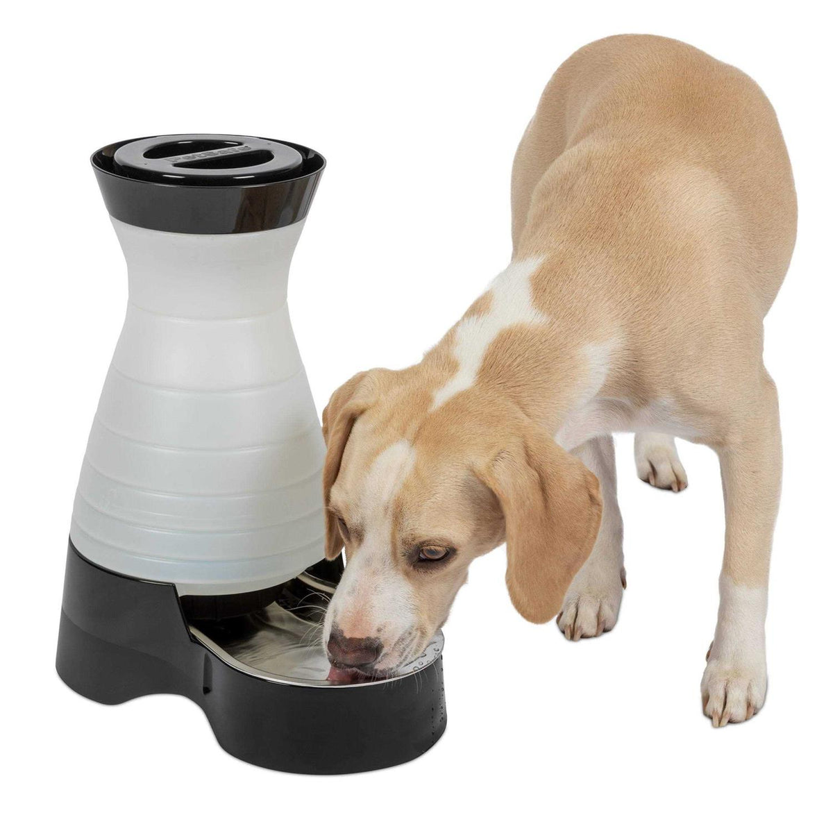 Healthy Pet Water Station T81978