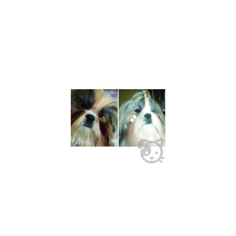 All Natural Beard Stain Remover for Dogs & Cats L66152