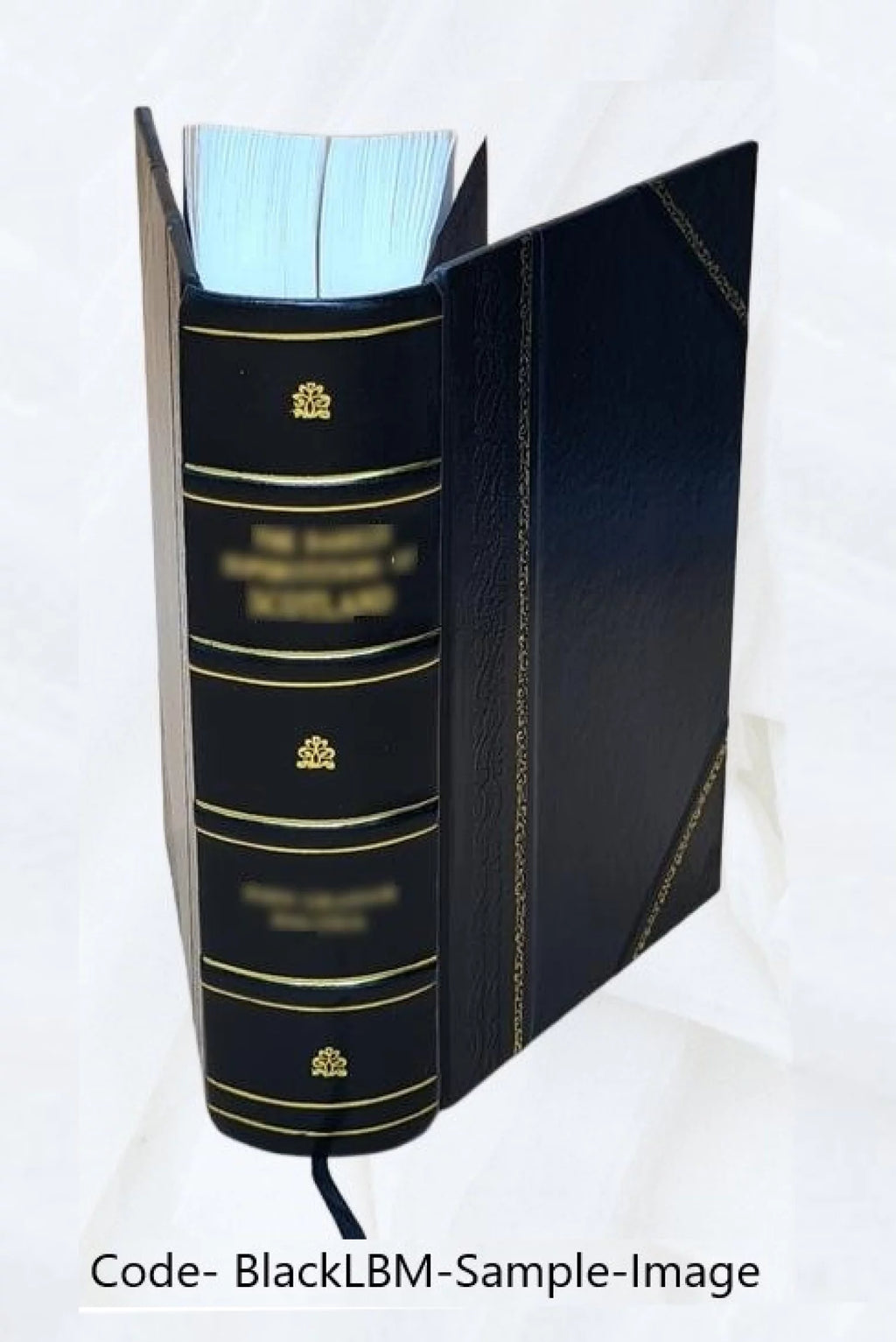 Small Electrical Utilities Nuclear Power Hearings 1968 Leather Bound N882583