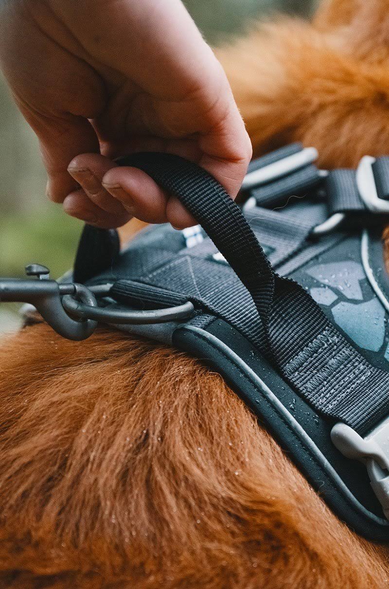 Camo Dog Harness M766721