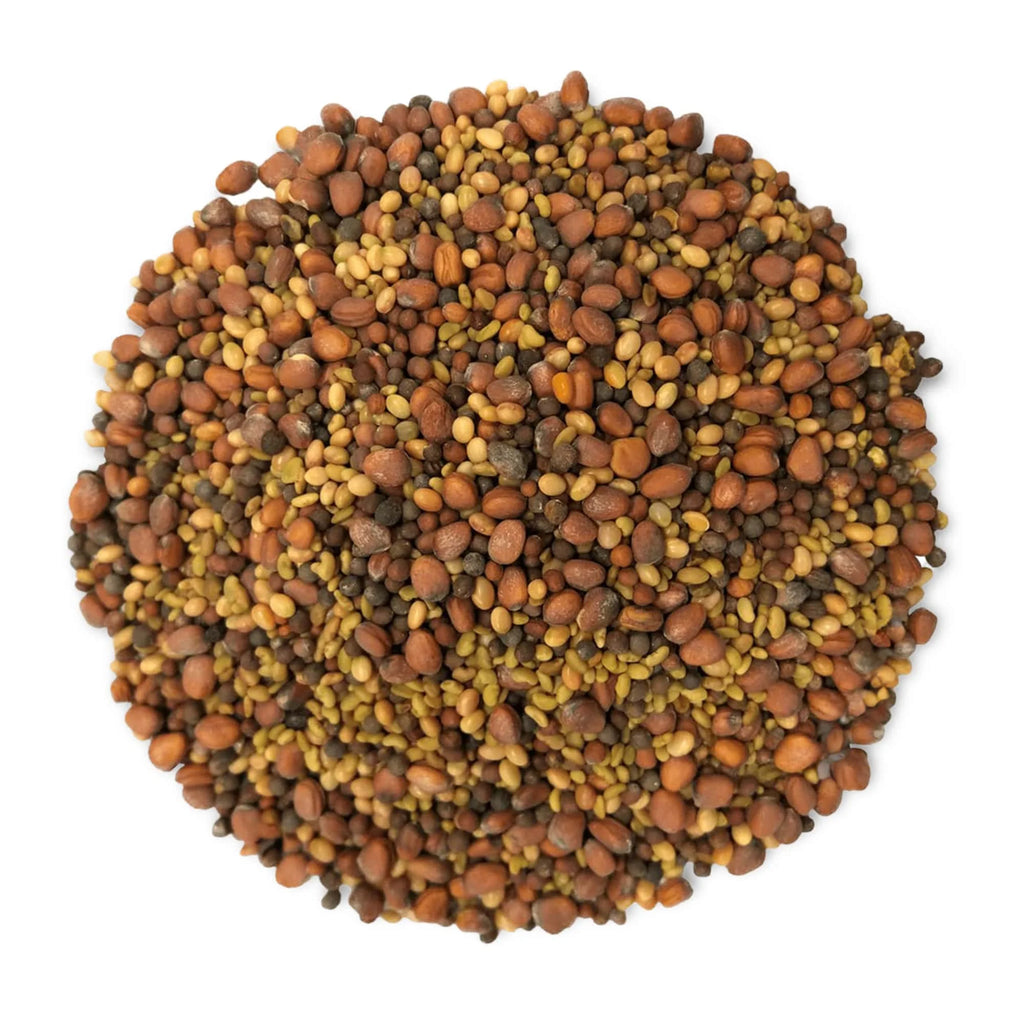 5 Pounds Sprouting Seeds Salad Mix O307