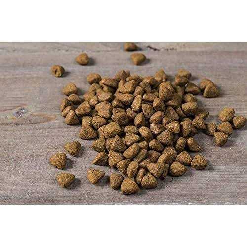Chicken Oats & Turkey Dry Puppy Food A943