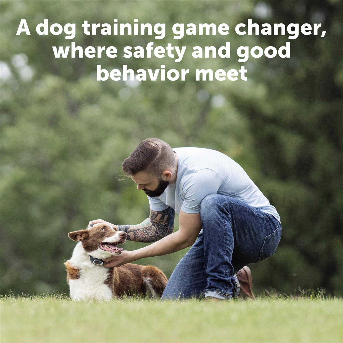 Dog Remote Trainer V512