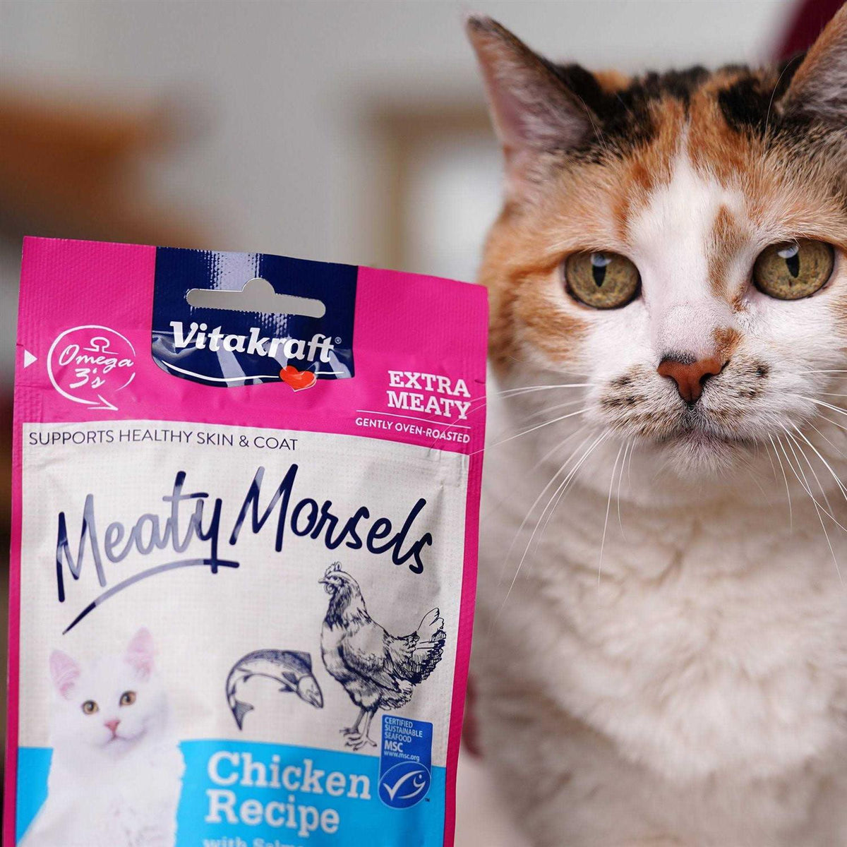 Chicken Salmon Cat Treat M632