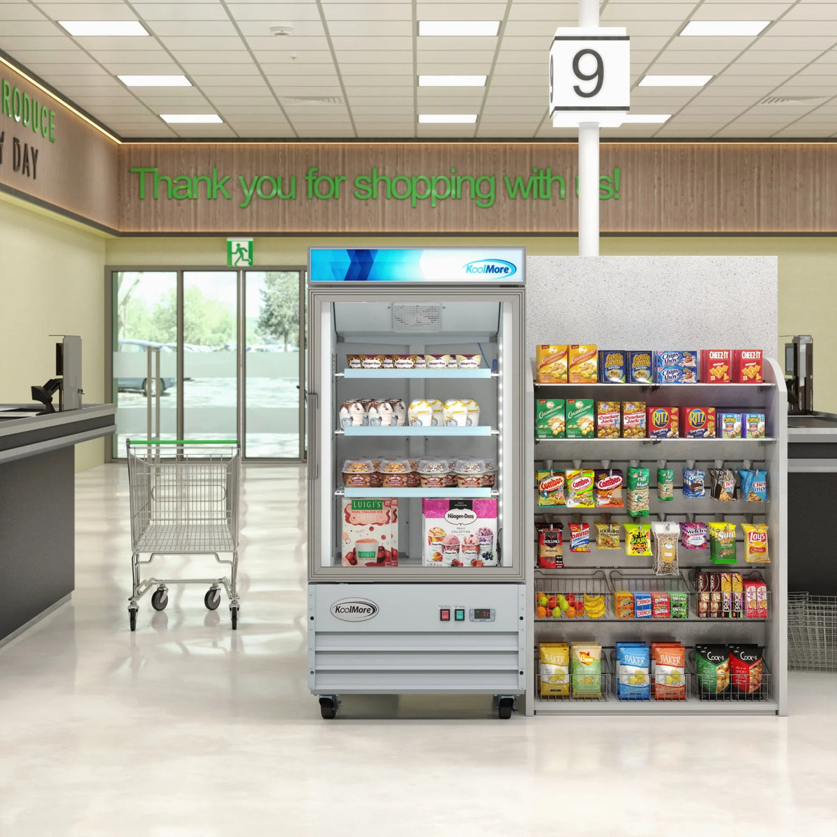 26 in. 1-Door Commercial Display Merchandiser Freezer 9 cu. ft. White W297
