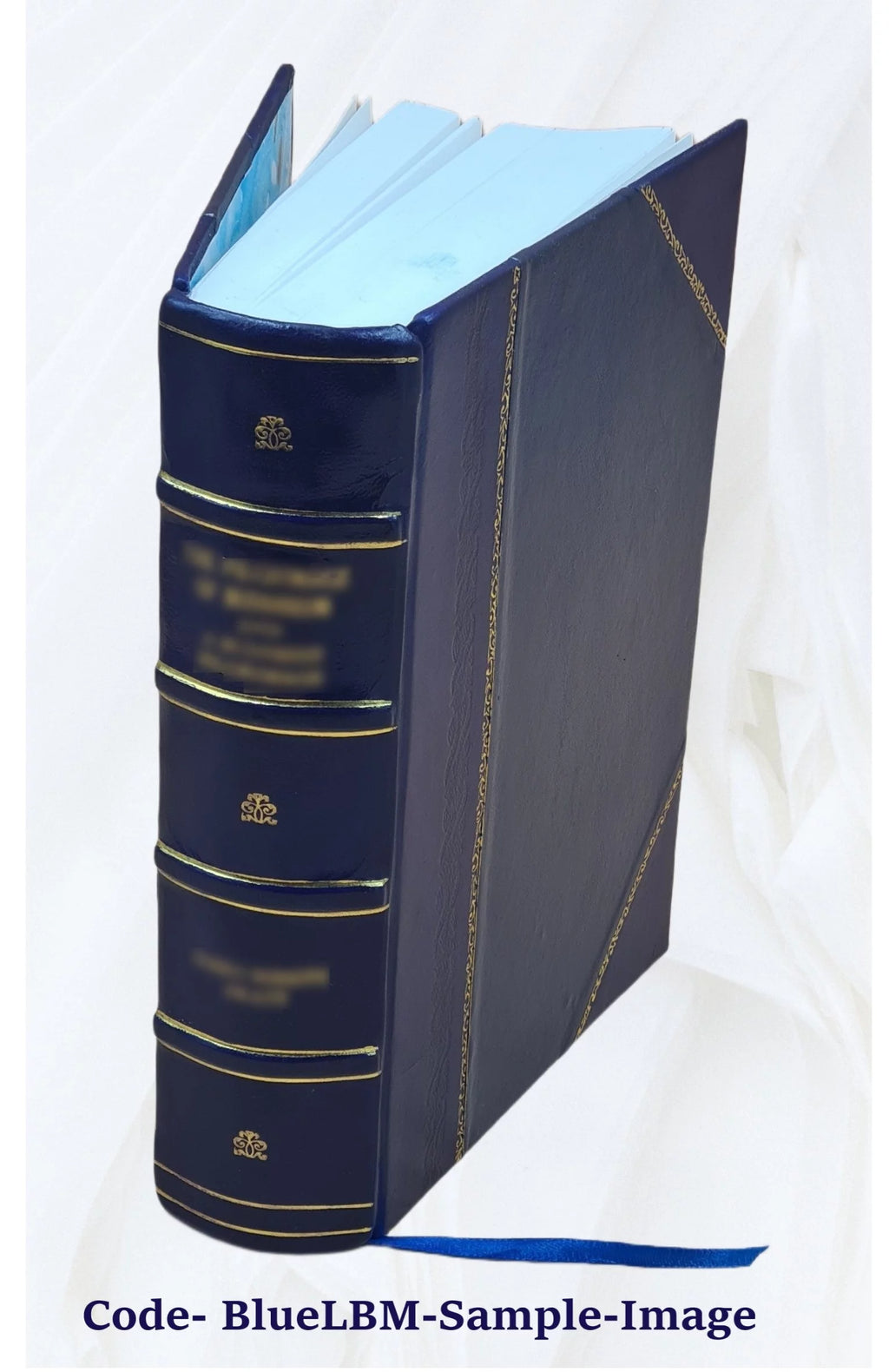 Small Electrical Utilities Nuclear Power Hearings 1968 Leather Bound N882583