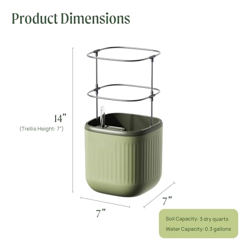 Sage Green Self-Watering Indoor Planter with Trellis Z338444