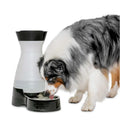 Healthy Pet Water Station T81978