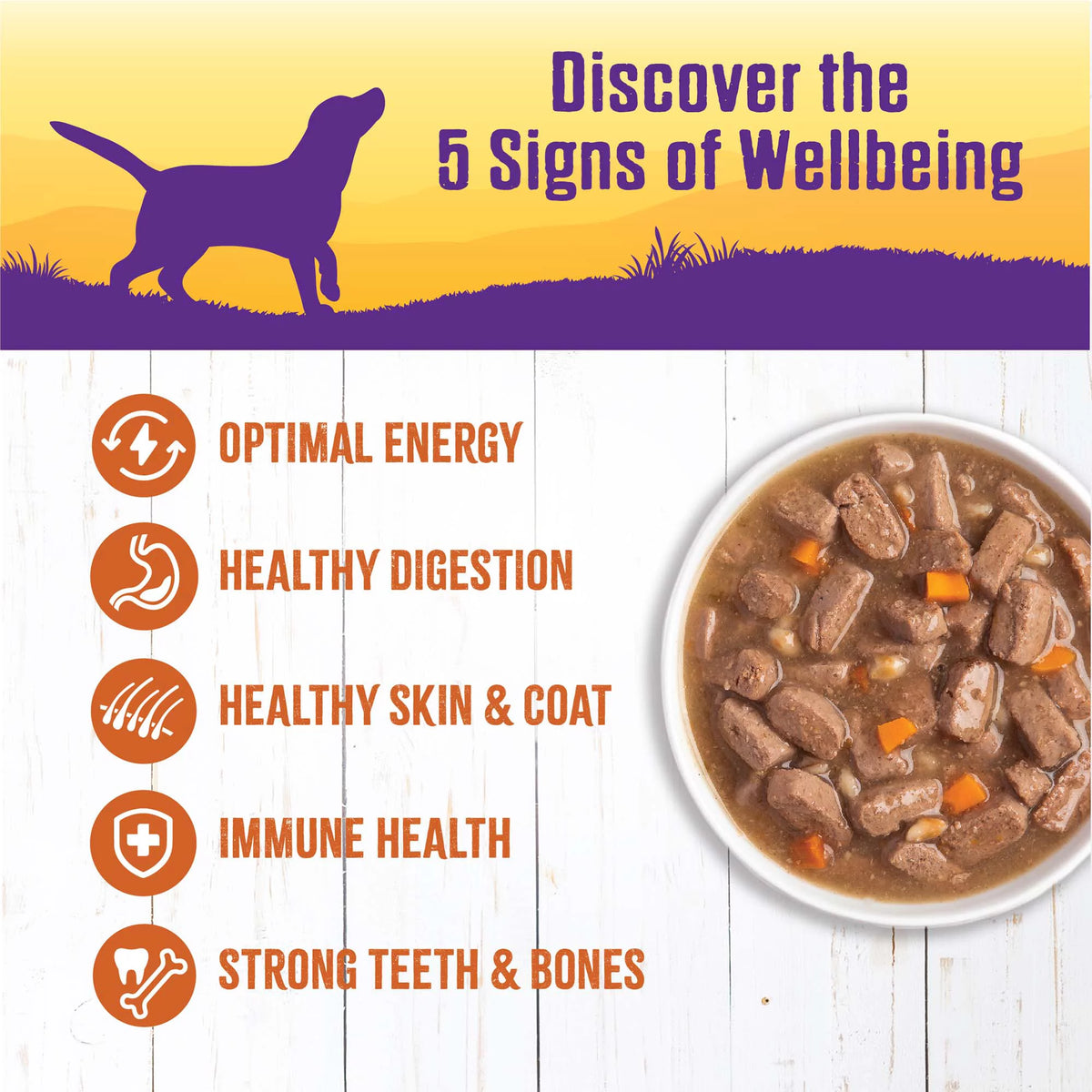 Natural Canned Dog Food Turkey Stew 12.5 Ounce Pack of 12 G918427