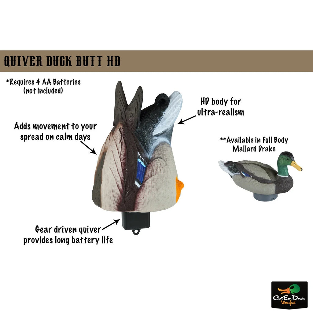 Drake Mallard Duck Butt HD G53237