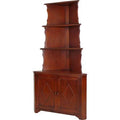 Solid Wood Corner Bookcase J11163