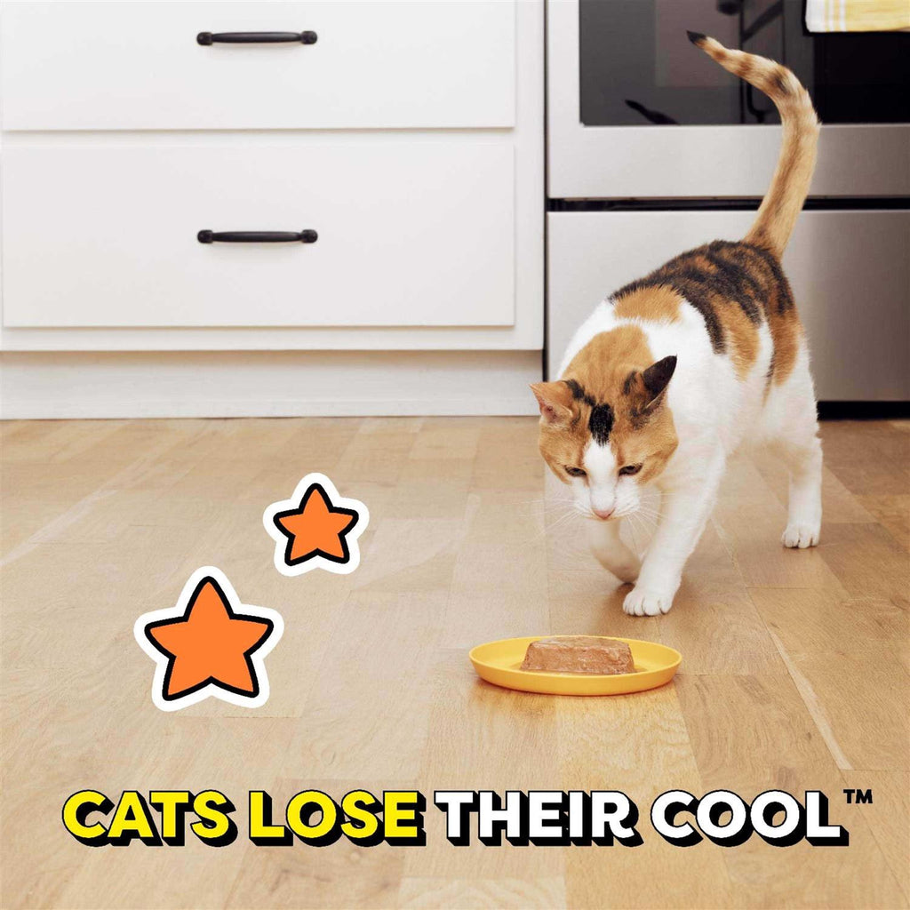 Chicken Flavor Gravy Wet Cat Food I2048