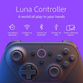 Wireless Controller N8264