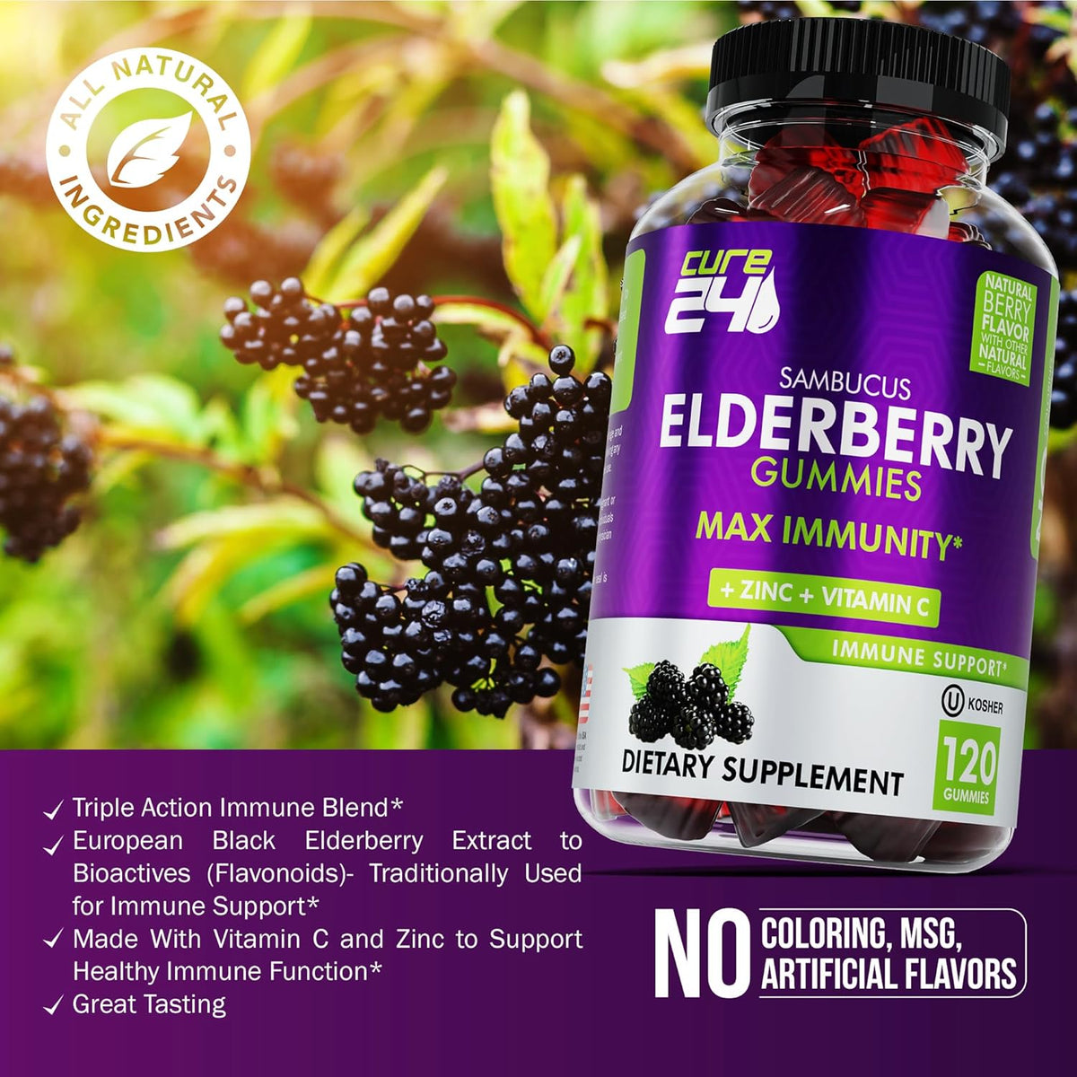 Elderberry Gummies with Vitamin C and Zinc 120 Count L6818