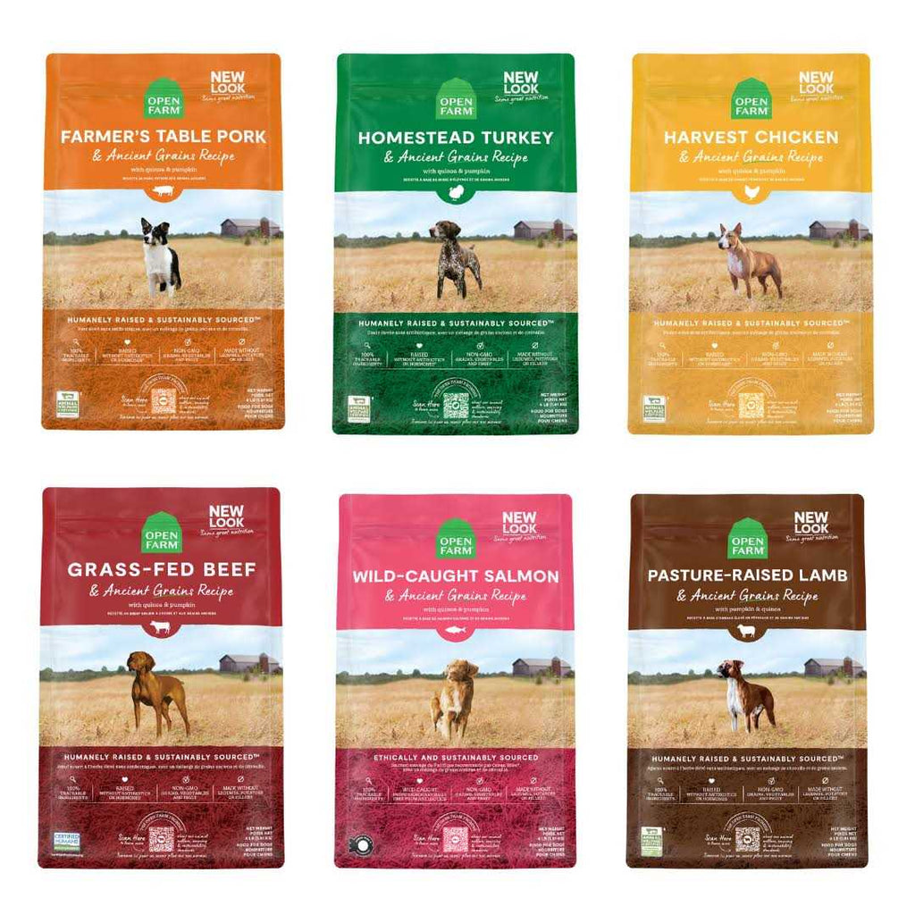Chicken Ancient Grains Dry Dog Food W69066