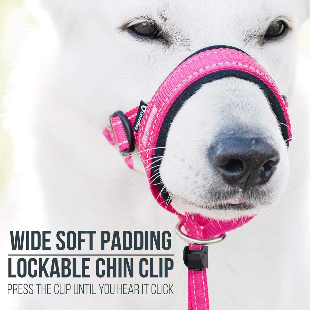 Dog Head Halter with Safety Strap W58488