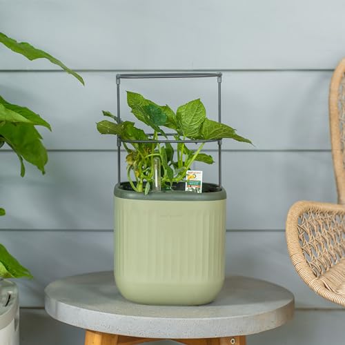 Sage Green Self-Watering Indoor Planter with Trellis Z338444