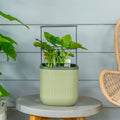 Sage Green Self-Watering Indoor Planter with Trellis Z338444