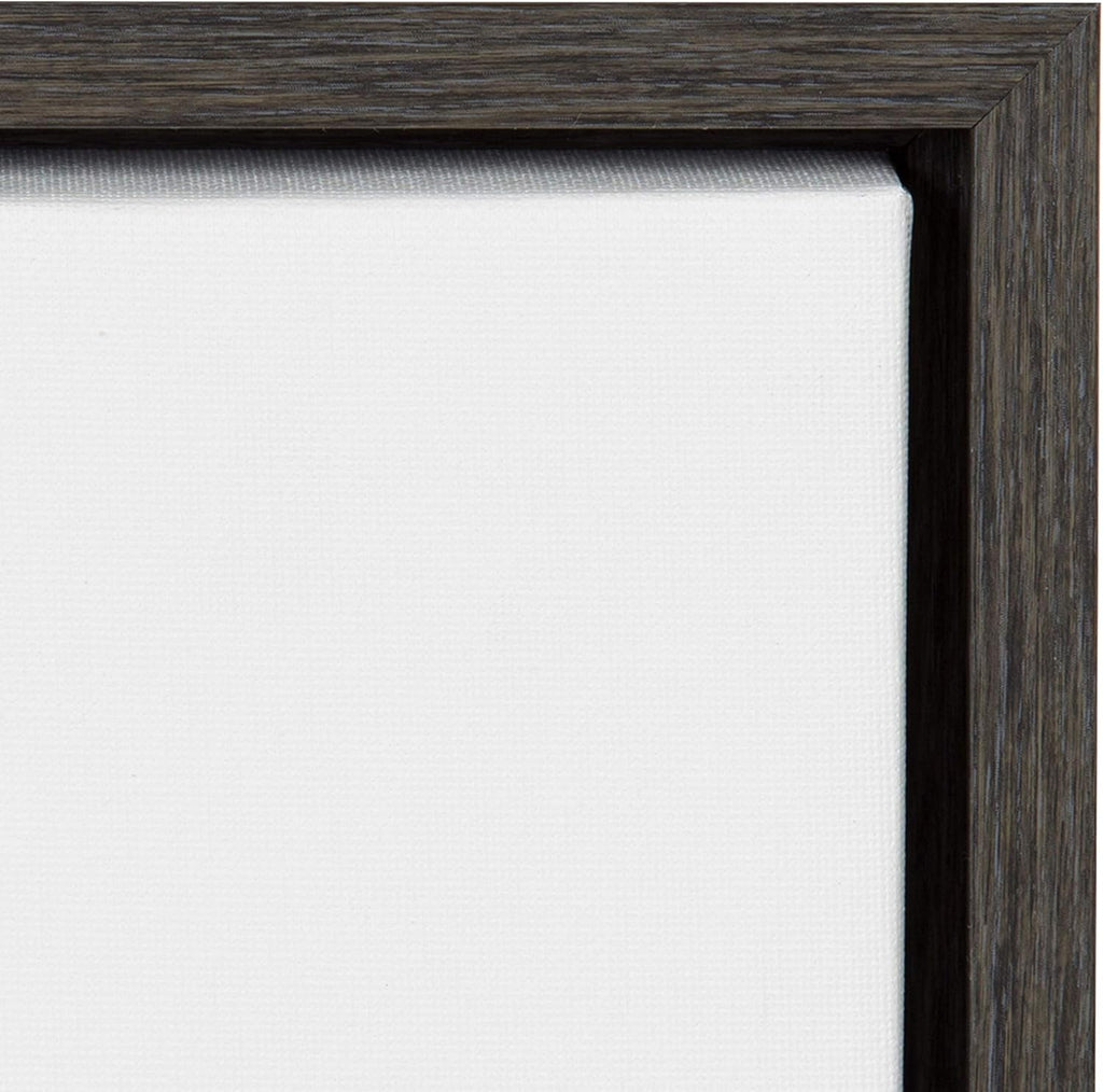 Black and White Lion Print Framed Canvas Wall Art T2516