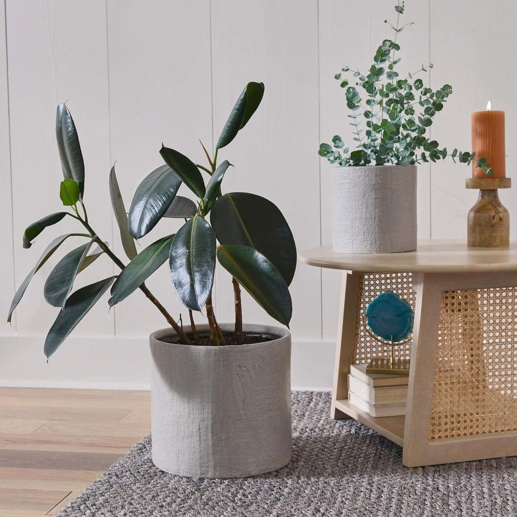 Natural Cane and Solid Mango Wood Round Coffee Table D23684