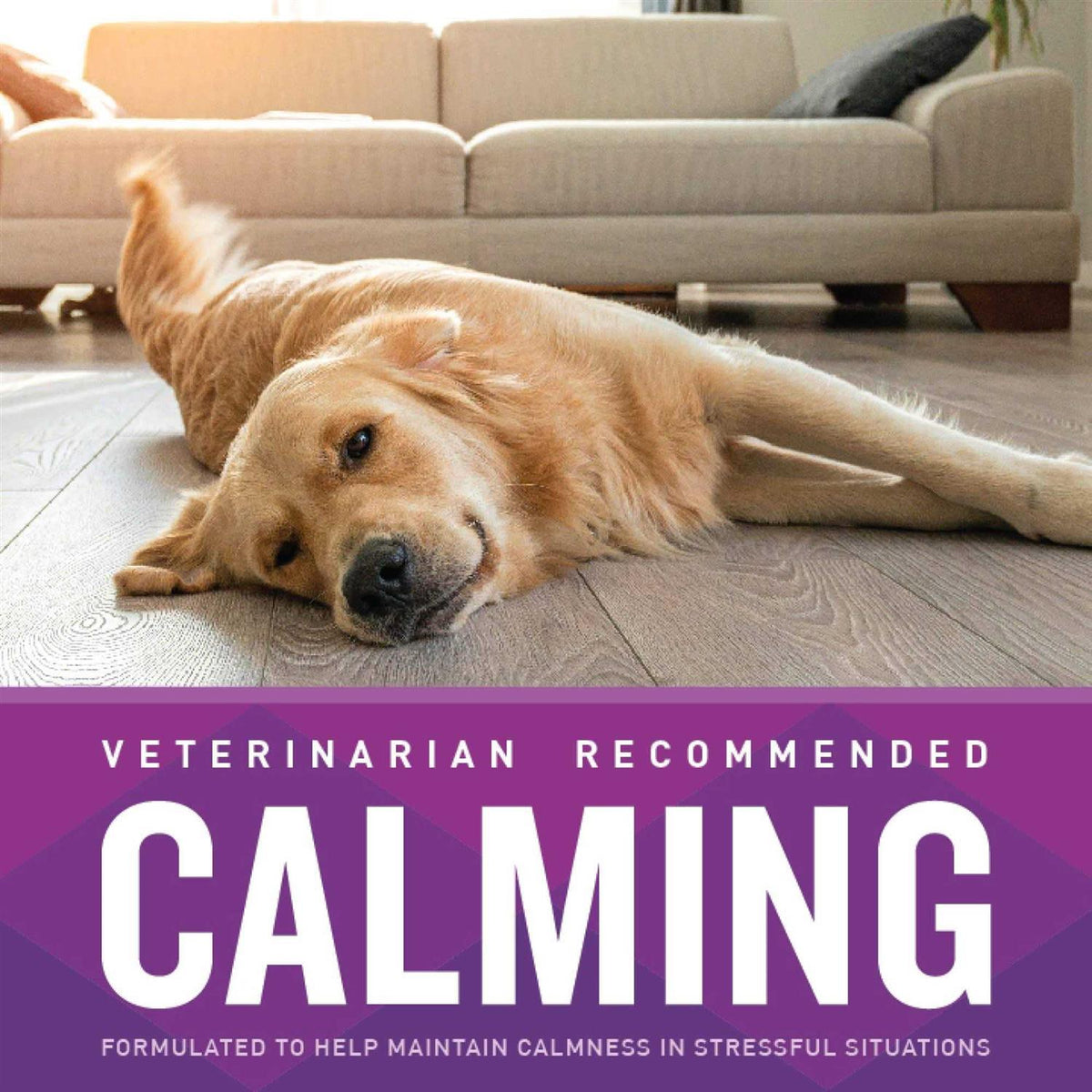 Calming Soft Chews P650822