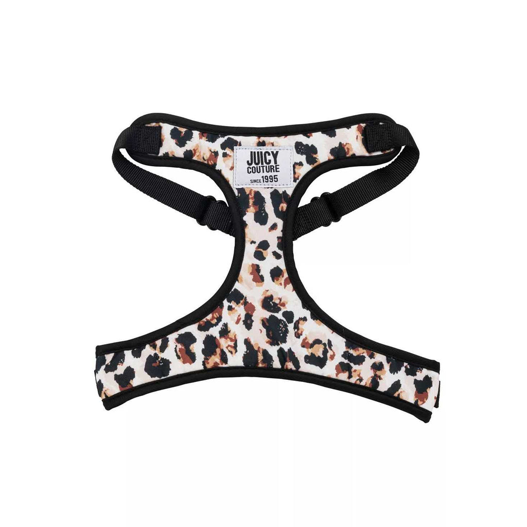 Harness & Leash Set G616