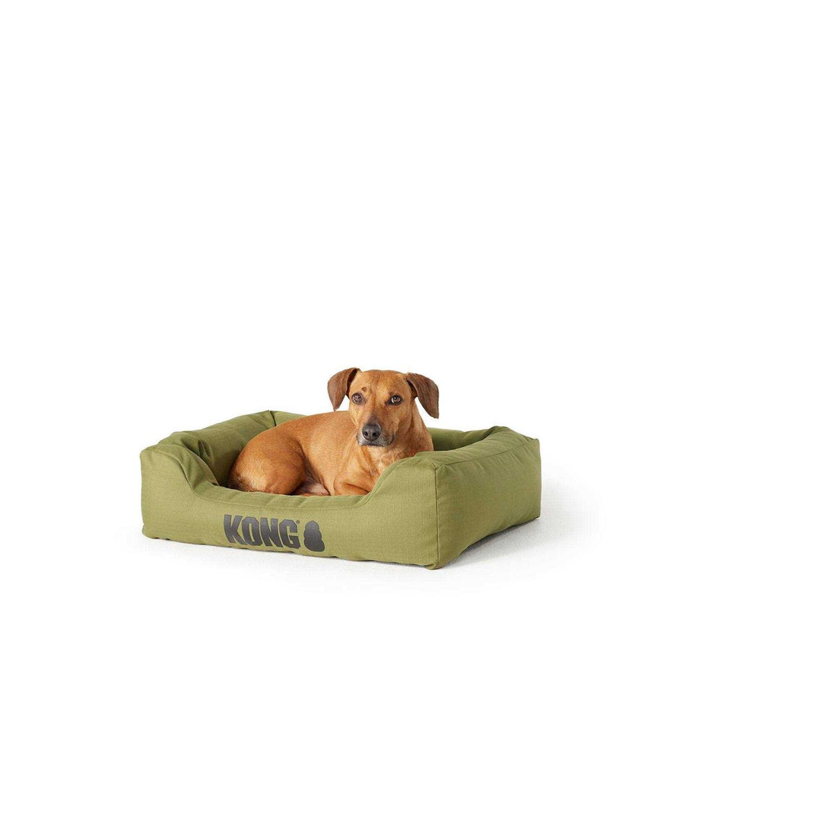 4-Sided Cuddler Dog Bed K311643