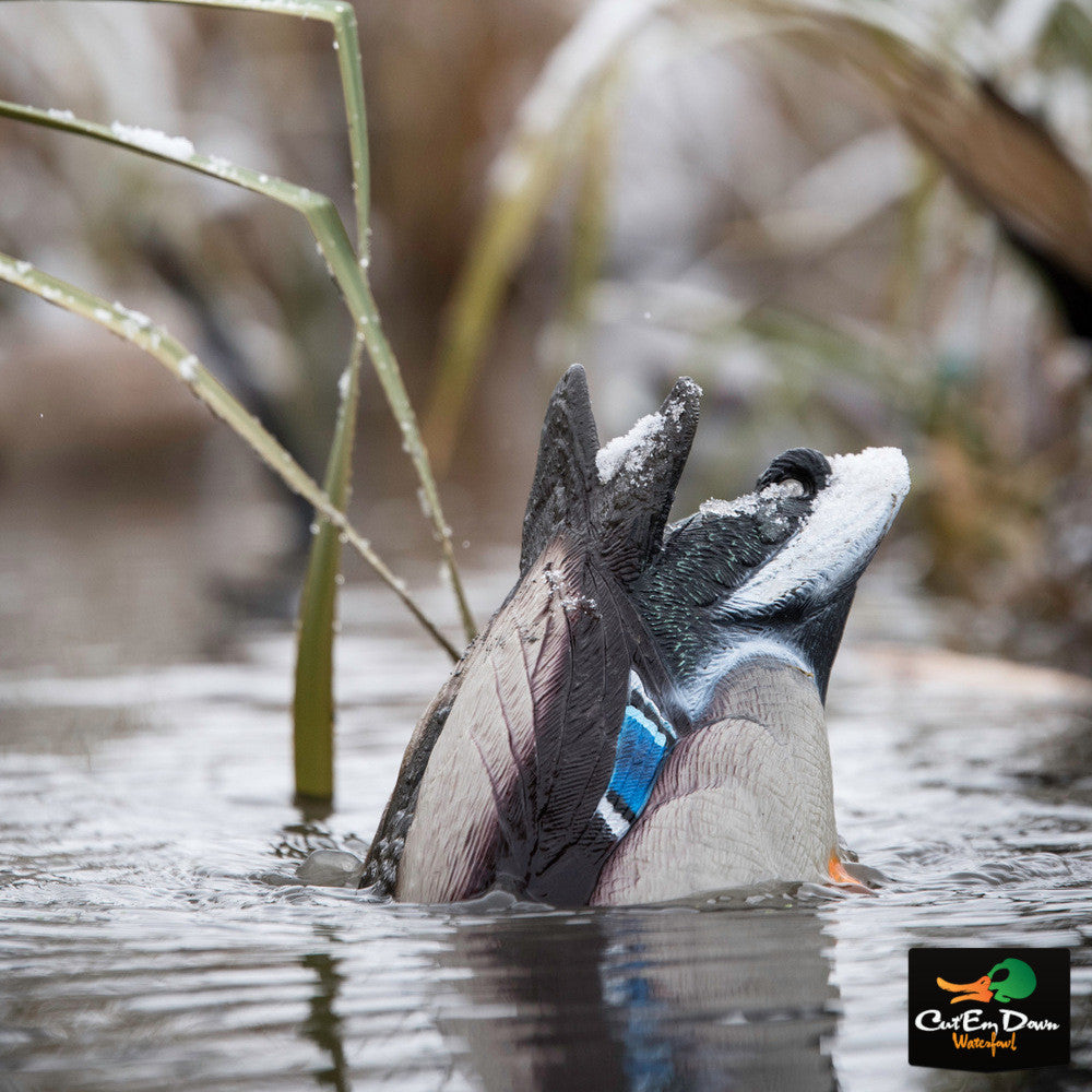 Drake Mallard Duck Butt HD G53237