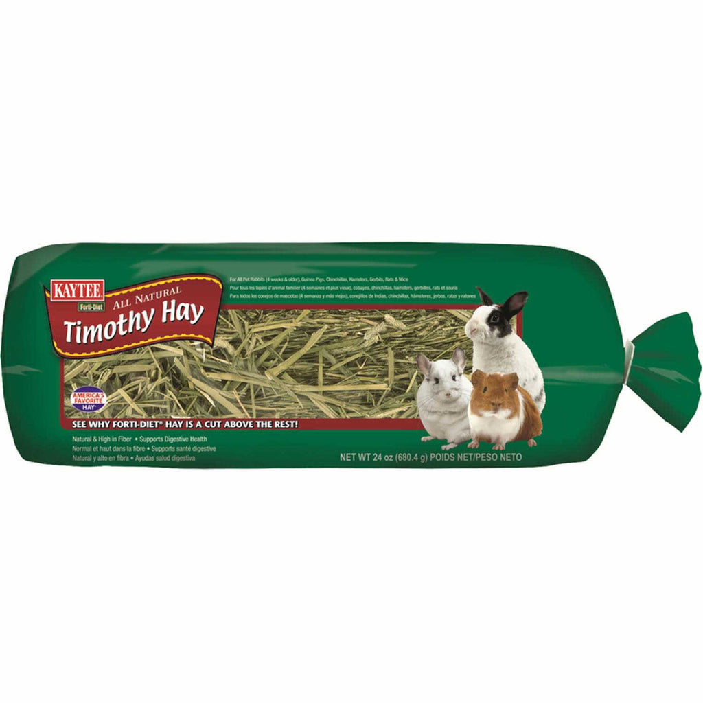 Timothy Hay H334