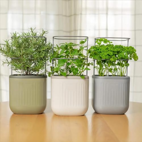 Sage Green Self-Watering Indoor Planter with Trellis Z338444