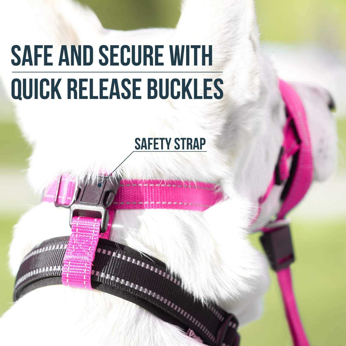 Dog Head Halter with Safety Strap W58488