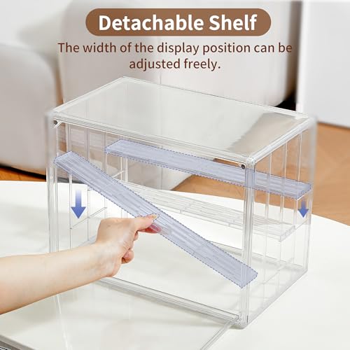 Acrylic 3 Layer Adjustable Display Case with Magnetic Door 2Pack Q631