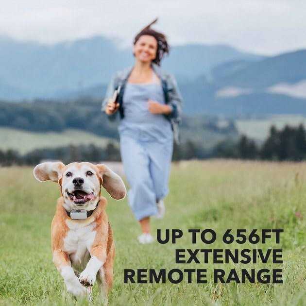 Dog Training System P752437