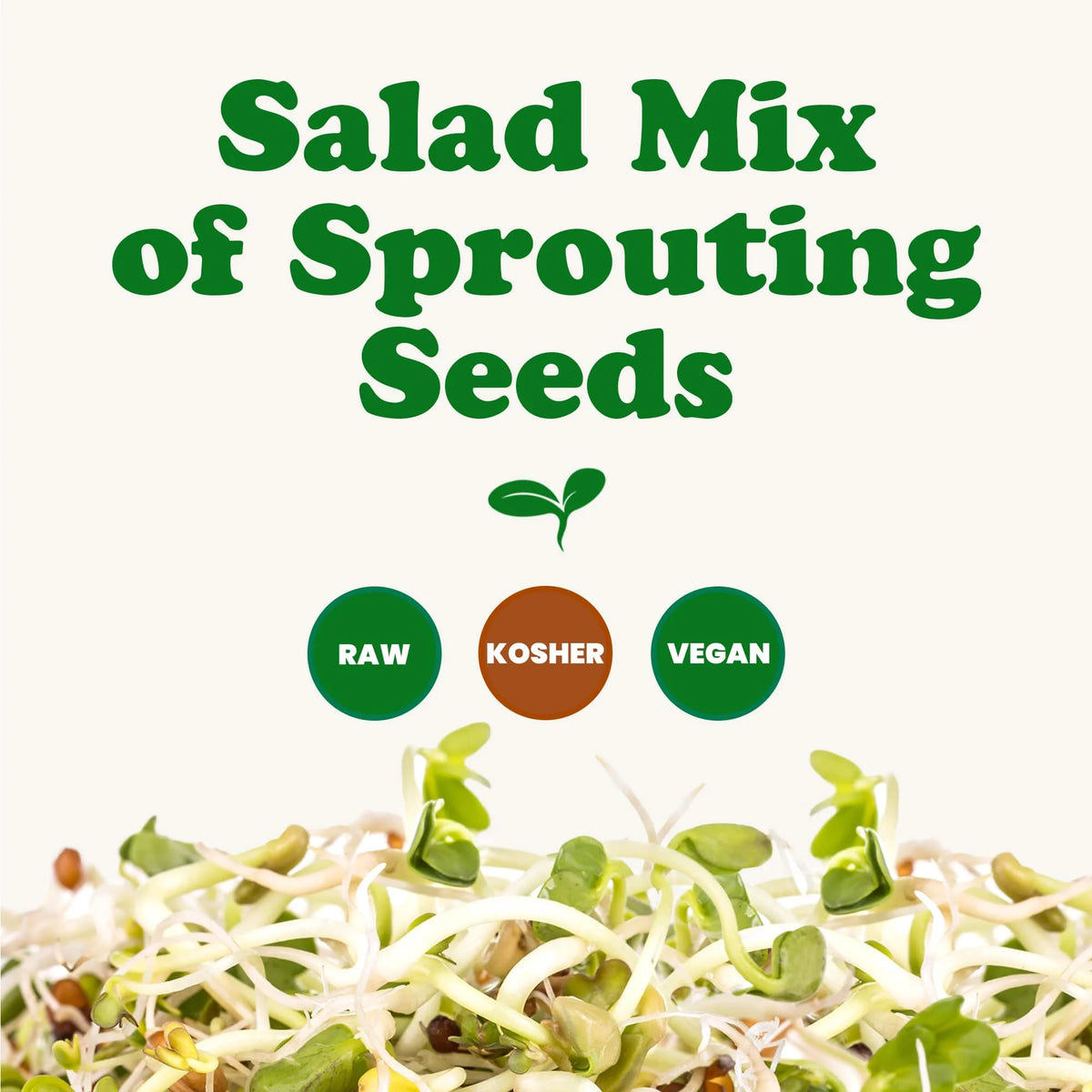 5 Pounds Sprouting Seeds Salad Mix O307