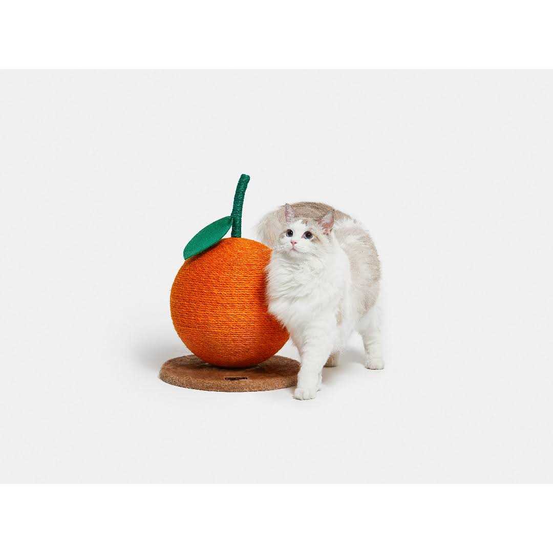 Cat Scratching Ball Toy E11491